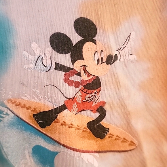 Disney Aloha From Aulani Spirit Jersey Size Large - Picture 3 of 6